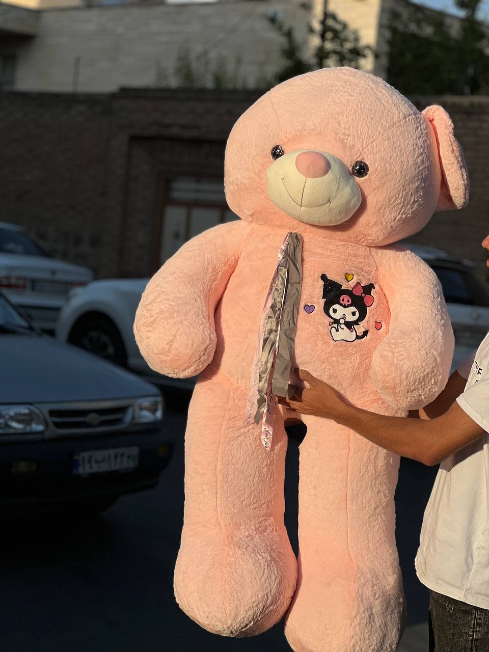 خرس‌ملودی به سینه